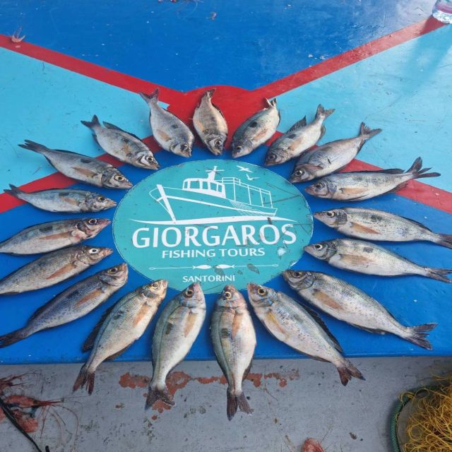 Santorini: Traditional Fishing Trip and Fresh Fish Lunch - Comfort, sea conditions, and what to expect