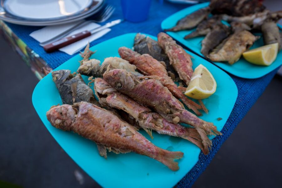 Santorini: Traditional Fishing Trip and Fresh Fish Lunch - Is $188 a fair price?