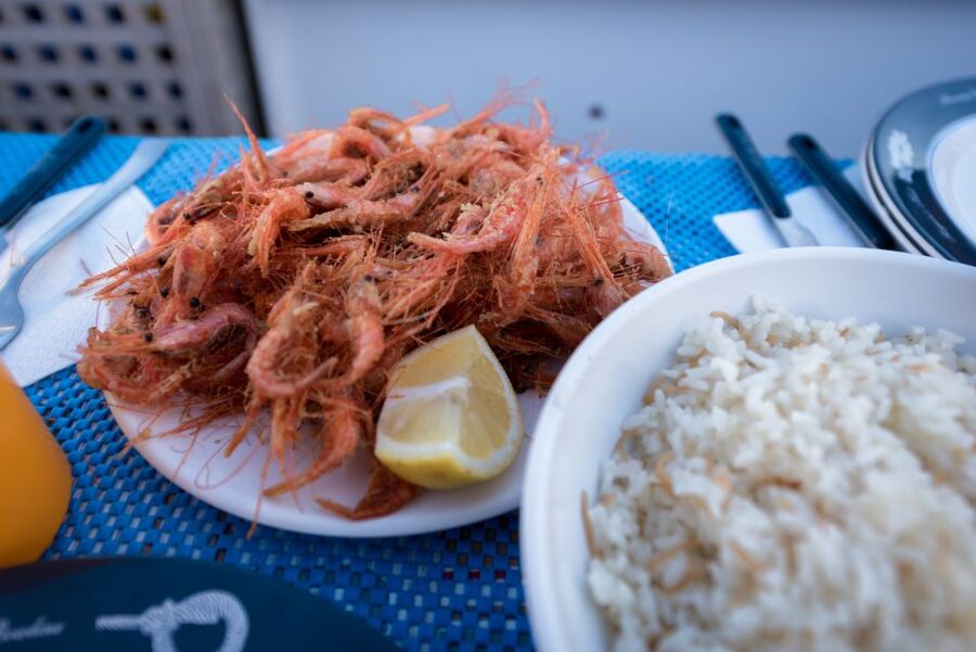 Santorini: Traditional Fishing Trip and Fresh Fish Lunch - Learning the old fishing methods