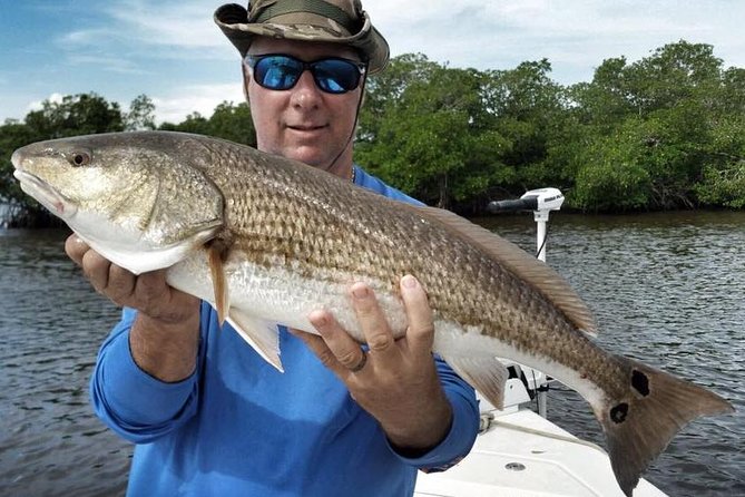 Sarasota Inshore Fishing Charters - Sarasota Bay fishing with a private captain