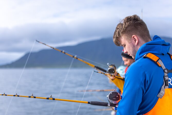 Sea Fishing Experience from Reykjavik - From Geirsgata to Faxaflói Bay