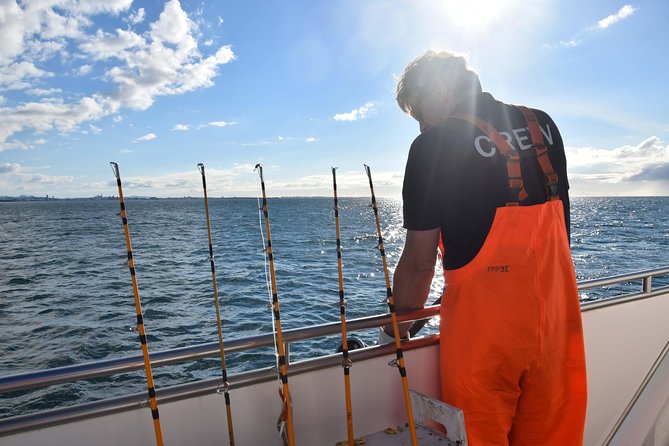 Sea Fishing Experience from Reykjavik - From hook to grill aboard the boat