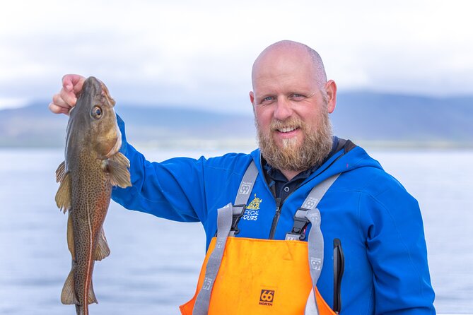 Sea Fishing Experience from Reykjavik - Cod, haddock, pollock, and the chance of a big haul