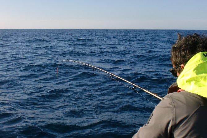 Sesimbra: All-inclusive Sport Fishing Tour - How the $113.42 price compares in practical terms