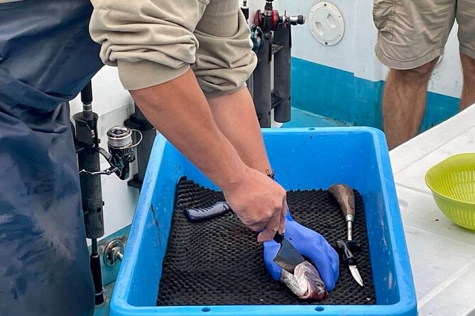 Setouchi Fishing and Culinary Adventure - Fishing the Seto Inland Sea from Kotsubo Port