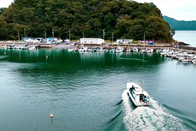 Setouchi Fishing and Culinary Adventure - Facilities, timing, and the practical trade-offs
