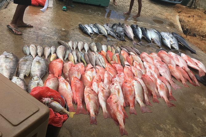 Seychelles Fishing - Key points before you book