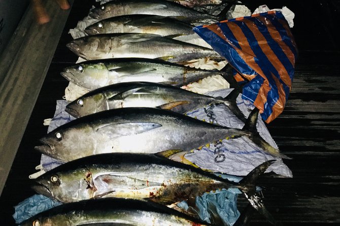 Seychelles Fishing - Equipment and help for first-time fishers