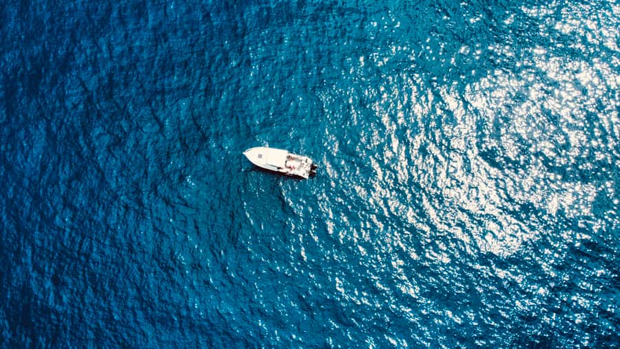 Seychelles: Guided Fishing Trip with Pickup and Equipment - Key points to know before you book