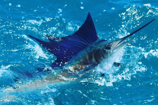 Shared BIG GAME Sportfishing Up To Six People - The crew and the hands-on side of fishing