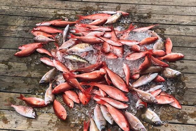 Shared Deep Sea Fishing Trip from Destin - Key points to know before booking