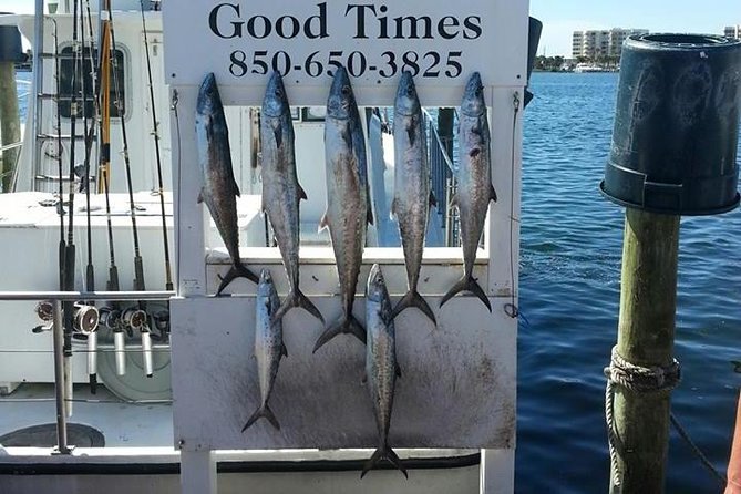 Shared Deep Sea Fishing Trip from Destin - The fishing: bottom rigs and changing catches