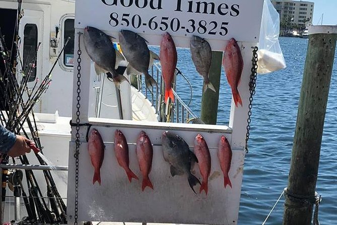 Shared Deep Sea Fishing Trip from Destin - Crew support for first-time anglers