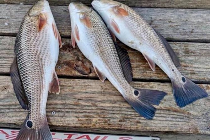 Shared Deep Sea Fishing Trip from Destin - Who will enjoy this charter most?