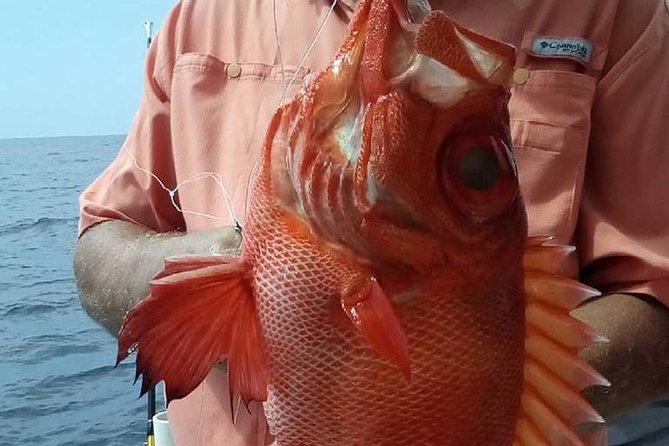 Shared Deep Sea Fishing Trip from Destin - Planning your day in Destin
