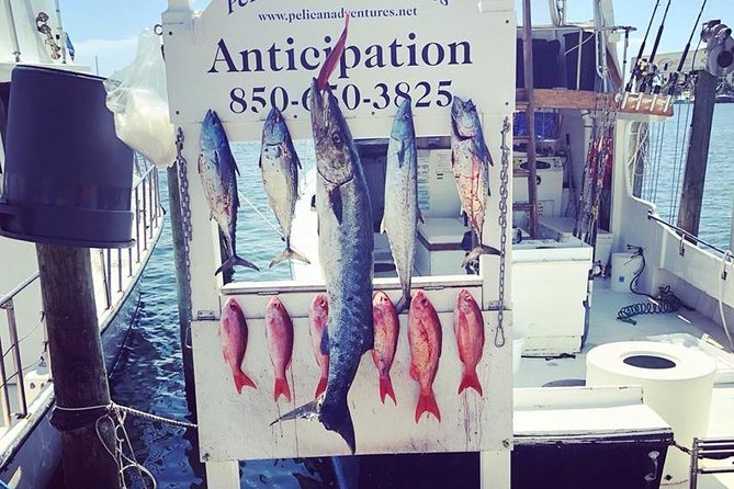 Shared Deep Sea Fishing Trip from Destin - Setting out from Pelican Adventures
