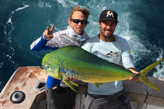 Shared Sportfishing Trip from Fort Lauderdale - What a four-hour Fort Lauderdale fishing trip is really like