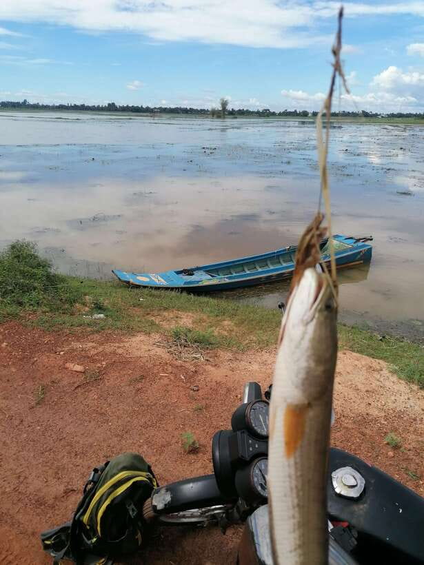Siem Reap: Fishing in the rice fields, in the villages of Siem Reap - Afternoon fishing and changing conditions