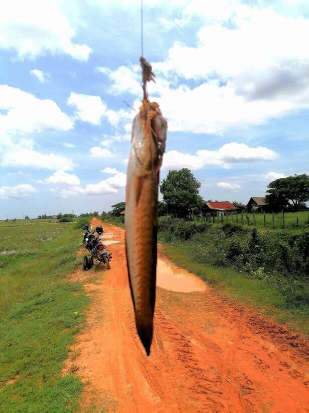 Siem Reap: Fishing in the rice fields, in the villages of Siem Reap - How the private group affects the experience