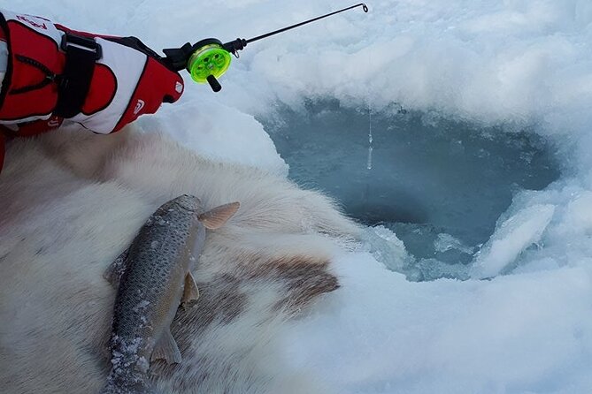 Sjursnes Arctic Ice Fishing Adventure from Tromso - Drilling holes and setting up the camp