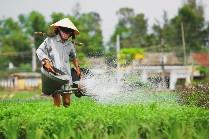 Small Group Bicycle Tour with Farming and Fishing Experience - Who should book this experience