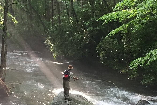 Smoky Mountains National Park Half Day Fly Fishing - From Gatlinburg to a Smoky Mountain stream