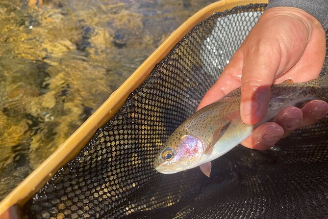 Smoky Mountains National Park Half Day Fly Fishing - Getting fitted for waders and boots