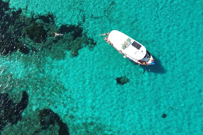 Snorkeling and Diving in the Gulf of Tavolara with Fishing - Molara: Clear Water and Time to Swim