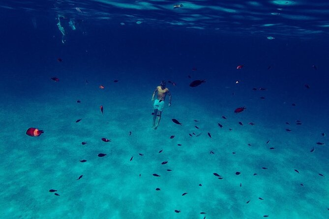 Snorkeling and Diving in the Gulf of Tavolara with Fishing - Lunch Built Around the Sea