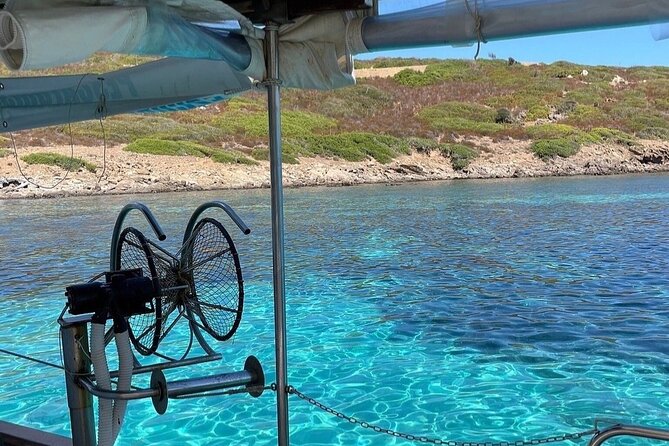 Snorkeling and Diving in the Gulf of Tavolara with Fishing - Why the Price Can Make Sense