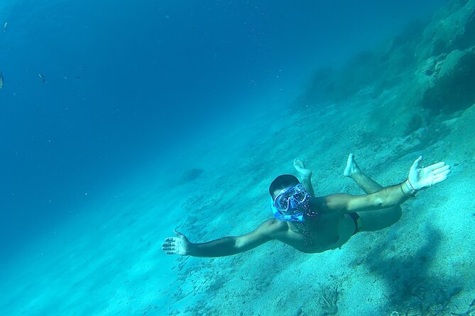 Snorkeling and Diving in the Gulf of Tavolara with Fishing - Who Will Enjoy This Most