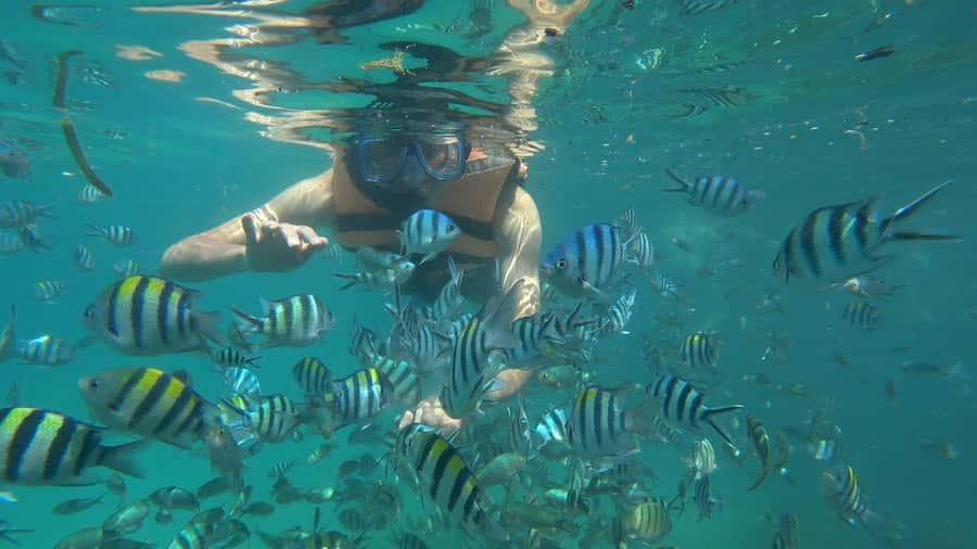 Snorkeling Kayaking Fishing Swimming Activities - Key points to know before you book