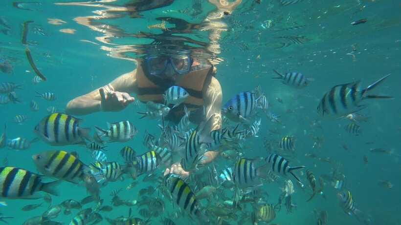 Snorkeling Kayaking Fishing Swimming Activities - Is $43 good value for eight hours?