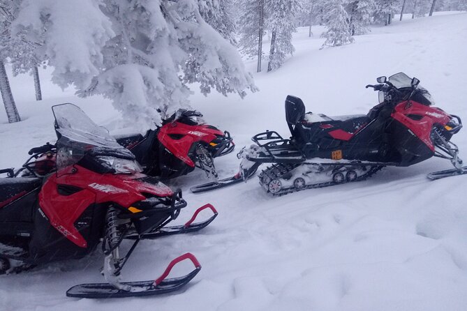 Snowmobile and Ice Fishing Excursion (private tour) - Ice fishing on a frozen lake