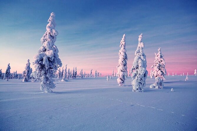Snowmobile and Ice Fishing Experience - A family activity with clear age rules