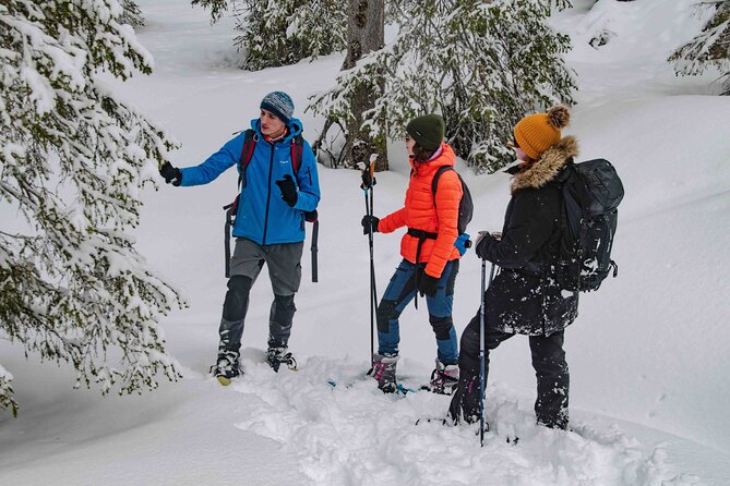 Snowshoeing Adventure with Ice-Fishing, Fire and Survival - Building a fire and warming up