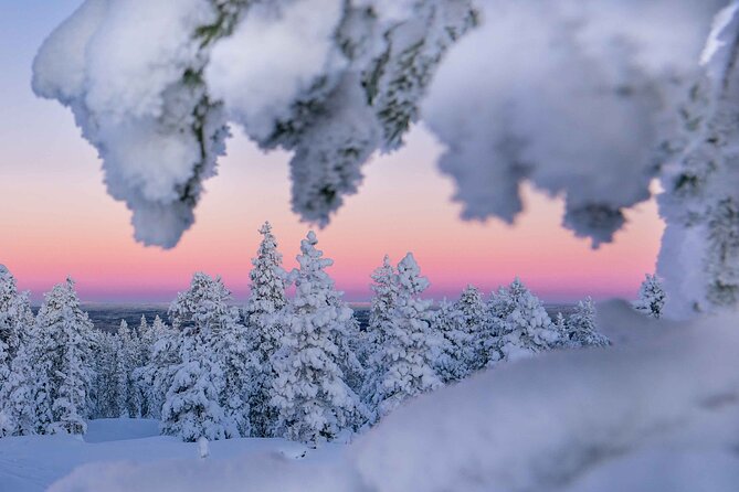 Snowshoeing Adventure with Ice-Fishing, Fire and Survival - Food, medicine, and local know-how
