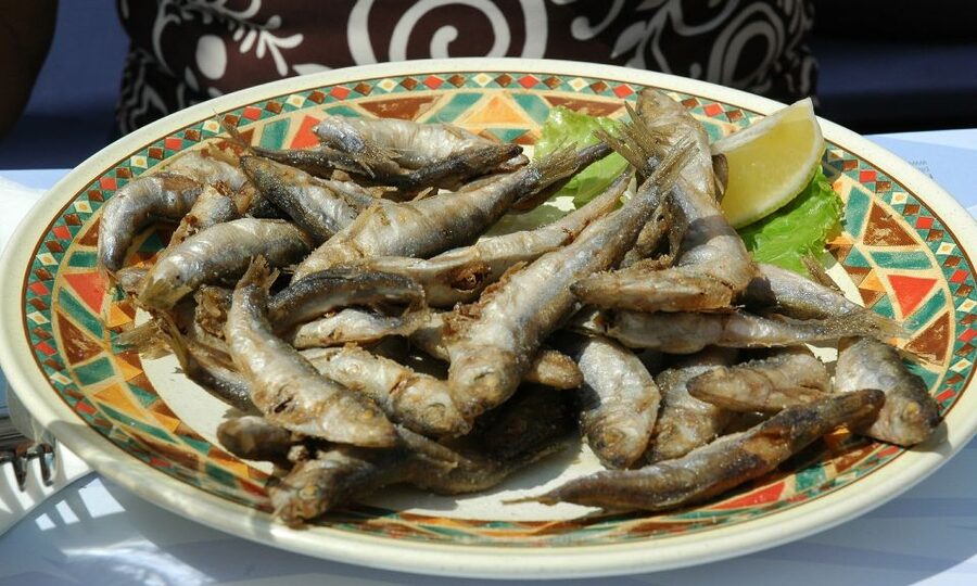 Sorrento: Sea-Fishing Tour with Lunch Onboard - Capri town or four hours of fishing