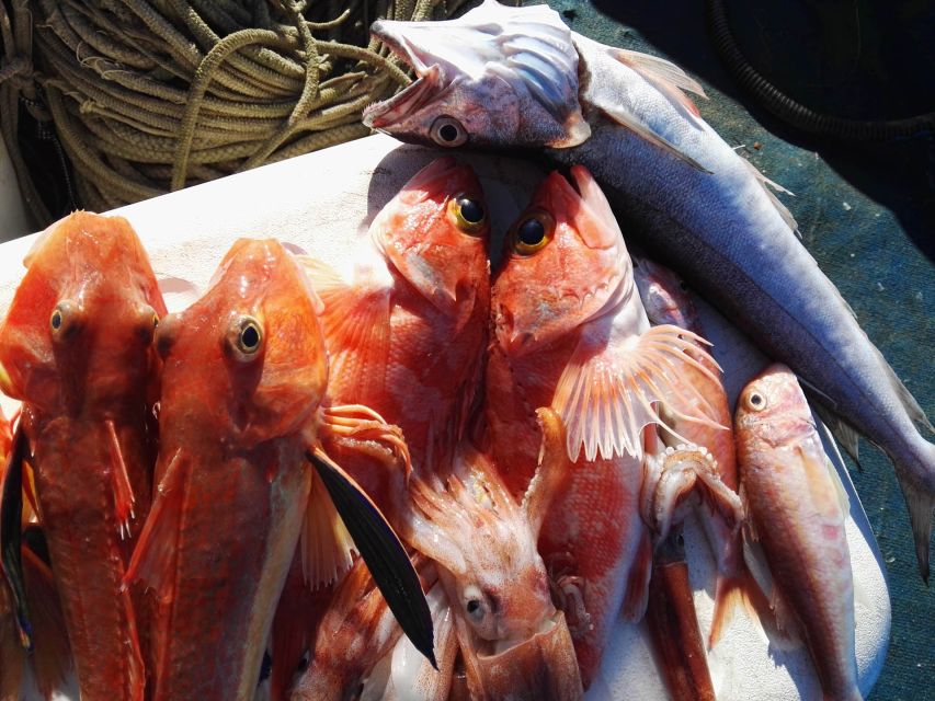 Sorrento: Sea-Fishing Tour with Lunch Onboard - Swimming and snorkeling in clear water