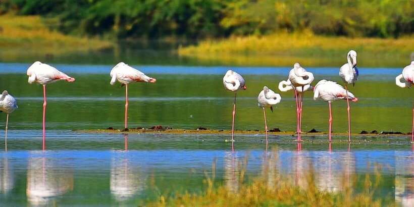 Sri Lanka Private Galle Tour: stilt fisherman, Galle Fort... - Price, inclusions, and the real value
