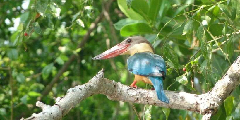 Sri Lanka Private Galle Tour: stilt fisherman, Galle Fort... - What the guide and group format mean