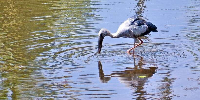 Sri Lanka Private Galle Tour: stilt fisherman, Galle Fort... - Is eight hours enough?