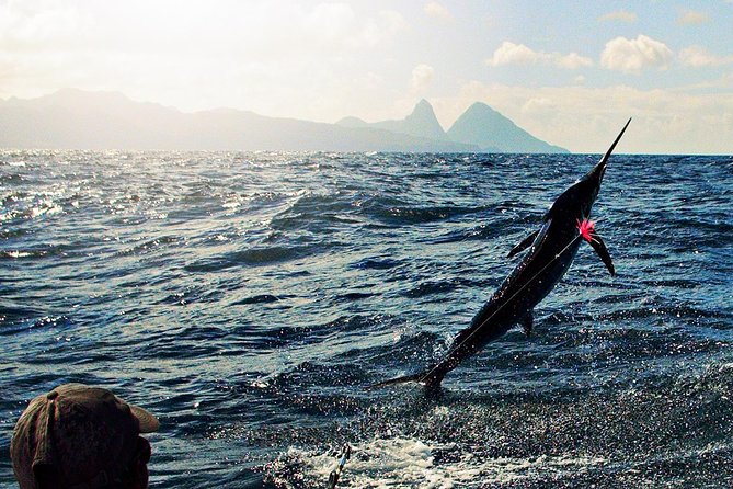 St Lucia Sport Fishing Tour - Fishing for Wahoo, Dorado, and Marlin
