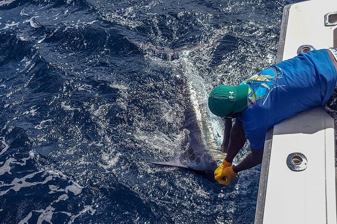 St Lucia Sport Fishing Tour - Drinks, Comfort, and What You Need to Bring