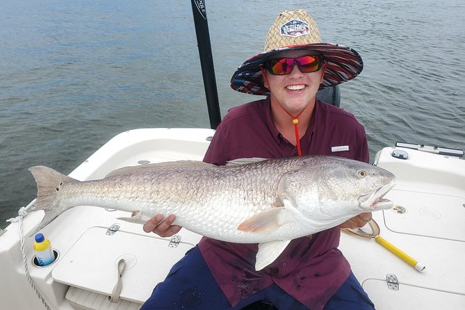 St Petersburg Inshore Fishing Charters - What you can catch in Tampa Bay