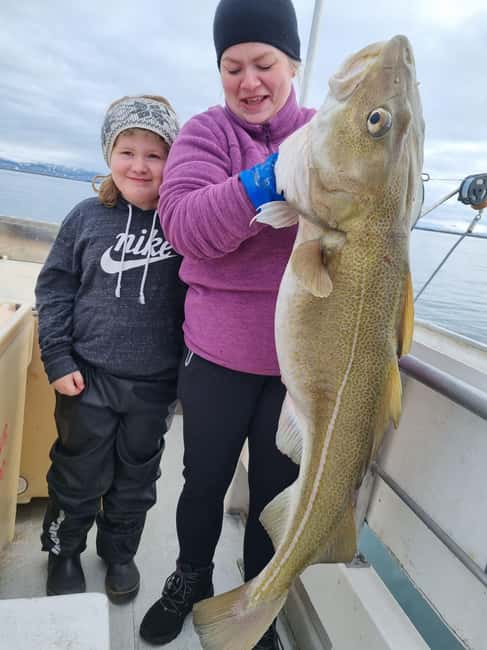 Stykkishólmur: Sea Angling Tour with Local Guide - Key points to know before you book