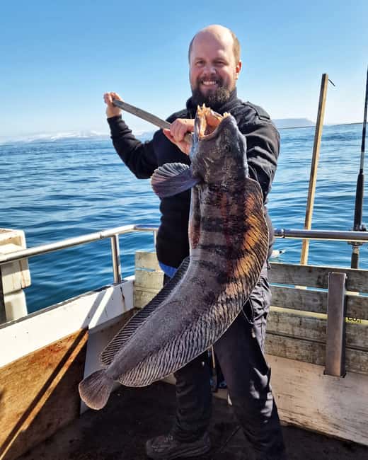 Stykkishólmur: Sea Angling Tour with Local Guide - Fishing Breiðafjörður from Stykkishólmur