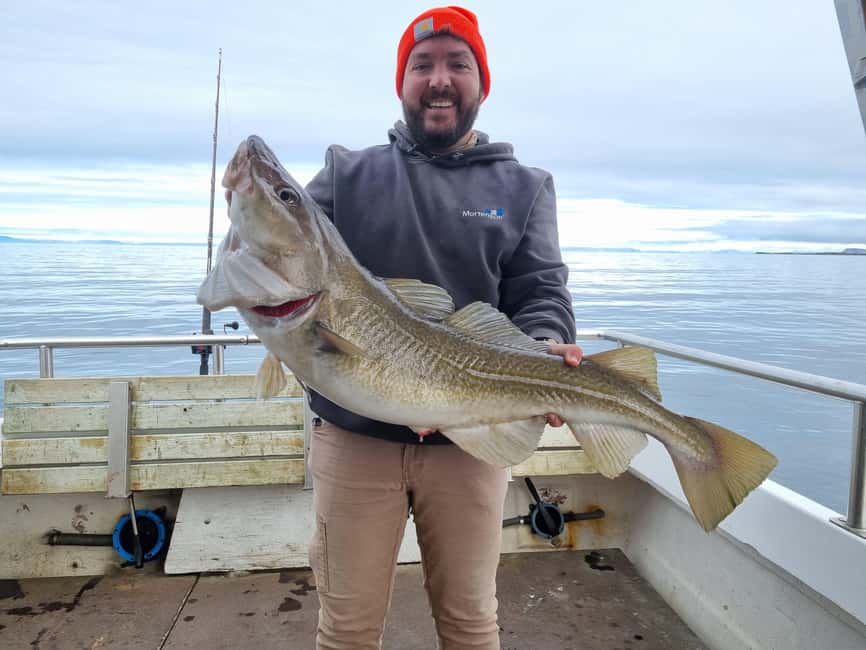 Stykkishólmur: Sea Angling Tour with Local Guide - Who will enjoy this fishing trip most?