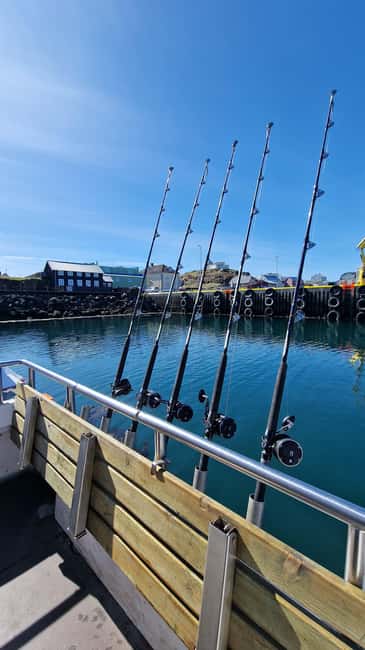 Stykkishólmur: Sea Angling Tour with Local Guide - What the three-hour outing feels like