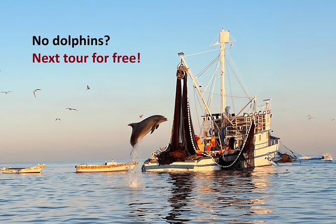 Sunrise Dolphins & Fishermen at Work speedboat tour in Rovinj - Key points to know before booking